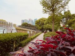 -上海港国际客运中心