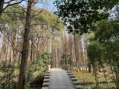 -同里国家湿地公园