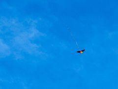 -星巴克(深圳音乐厅店)