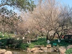 -杭州植物园