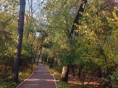 -长春市南湖公园