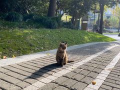 -苏州河梦清园环保主题公园