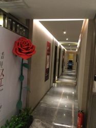 -香榭丽舍·海菲秀·皮肤管理痘敏肌修护