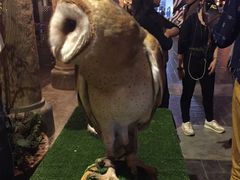 -清迈夜间动物园