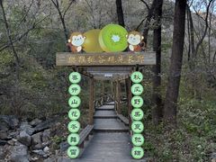 -大岭沟猕猴桃谷风景区
