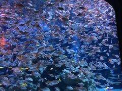 -成都浩海立方海洋公园