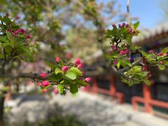 -大钟寺古钟博物馆