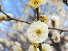 -七桥瓮公园