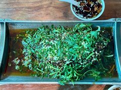 -树厨贵州菜(花果园购物中心店)