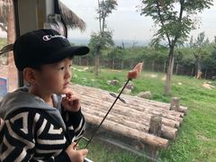 -西安秦岭野生动物园