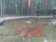 -竹泉村旅游度假区