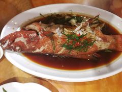 清蒸东星斑-香港厨房