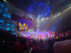 -重庆国际马戏城