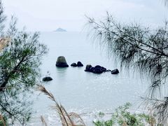 -西澳岛