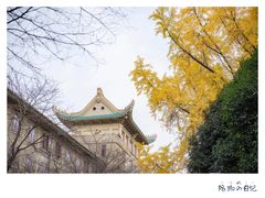 -武汉大学-樱园