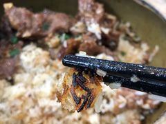 -红星光发煲仔饭(文海店)
