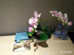 -JOYA湾悦国际酒店(世界之窗店)