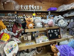 -青藏高原野生动物园