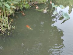 -八卦田遗址公园