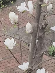 点击看大图 -莲生母婴月子中心(清水河公园店)