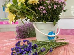 -樱花国际日语(仓山万达中心)