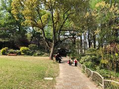 -上海醉白池公园