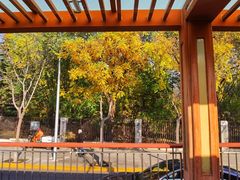 -国家植物园(地铁站)