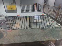 -天猫养车贴膜轻改·蓝电(优匹康桥东路店)