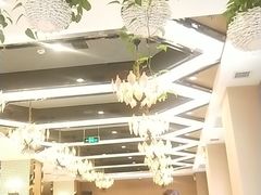 -飞鹿餐饮·陕南菜(北关店)