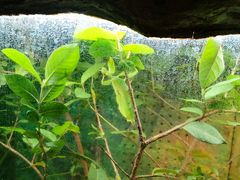 -上海大自然野生昆虫馆(东方明珠·爬宠昆虫探索中心)