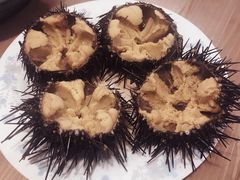 -海胆小馆(东北水饺·春柳店)