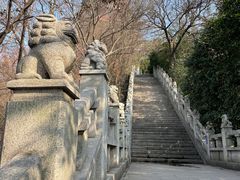-阅江楼风景区