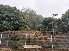 -满記土窑烧鷄波浪山莊