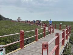 -北海金海湾红树林生态旅游区