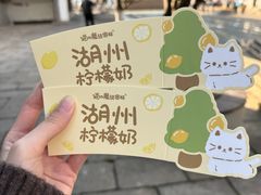 -猫的魔法密林(衣裳街店)