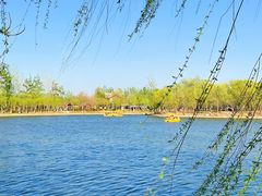 -杨柳青庄园