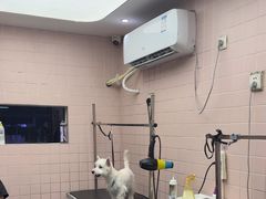 -FAELING PETS美天灵宠物(富力广场店)