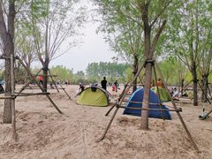 -东郊湿地公园