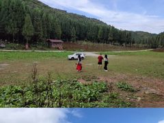 -武陵山森林公园