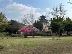 -景福宫