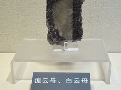 -安徽省地质博物馆