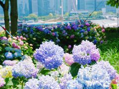 -北外滩滨江绿地