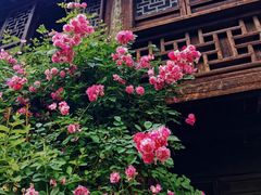 -惠山古镇·寄畅园