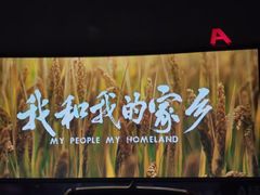 -枫花园汽车电影院(朝阳公园店)