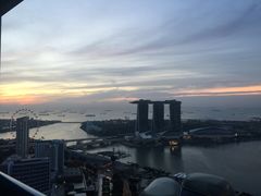 -新加坡瑞士史丹福酒店