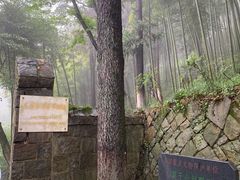 -莫干山风景区