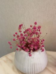 -杭州海亮医院 · 禾芸嘉医美中心