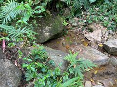 -火炉山森林公园