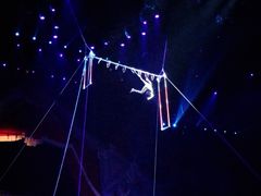 -珠海横琴长隆《卡卡虎奇遇记》