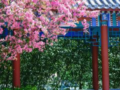 -丰台花园